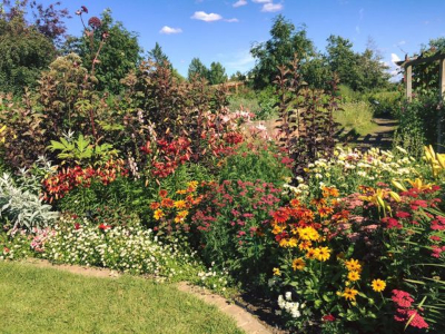 Georgeson Botanical Garden, Fairbanks, Alaska. Photo Credit: Georgeson Garden Botanical Society.